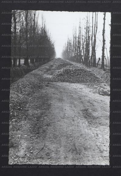 ARSIAL/ARS00173C07.jpg
