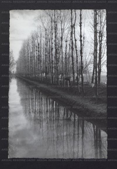 ARSIAL/ARS00173C0C.jpg