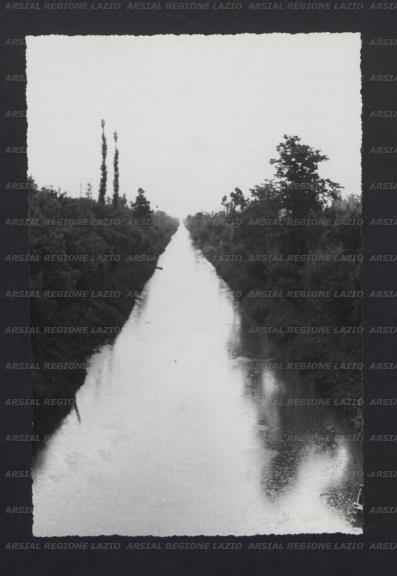ARSIAL/ARS00173C16.jpg