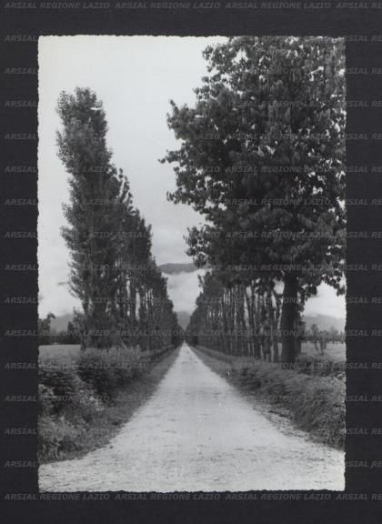 ARSIAL/ARS00173C27.jpg