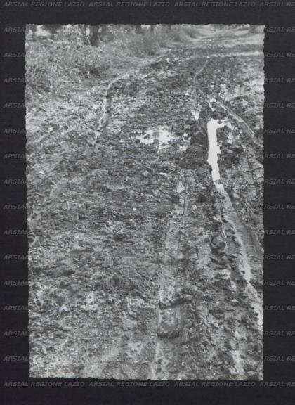 ARSIAL/ARS00173C30.jpg