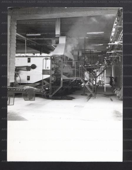 ARSIAL/ARS00173C5A.jpg