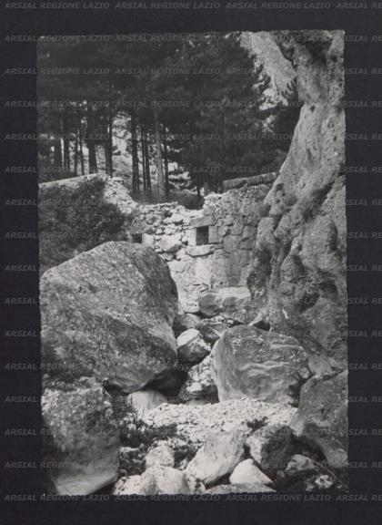 ARSIAL/ARS00173C5D.jpg