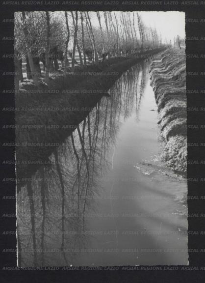 ARSIAL/ARS00173C90.jpg