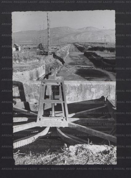 ARSIAL/ARS00173C92.jpg