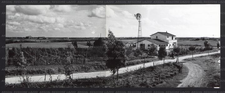 ARSIAL/ARS00173CA2.jpg