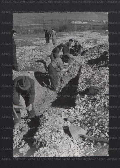 ARSIAL/ARS00173CD8.jpg