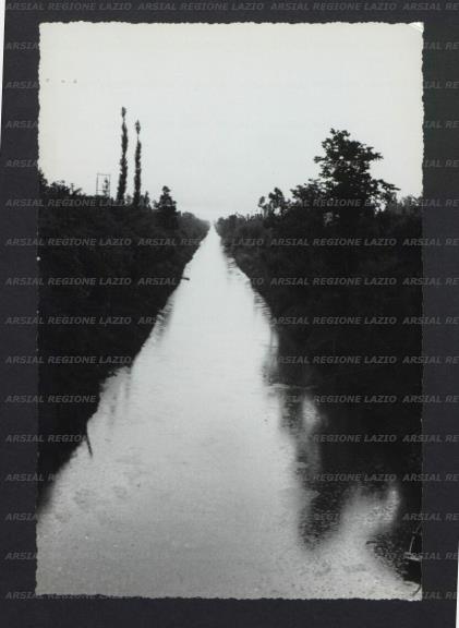 ARSIAL/ARS00173D07.jpg