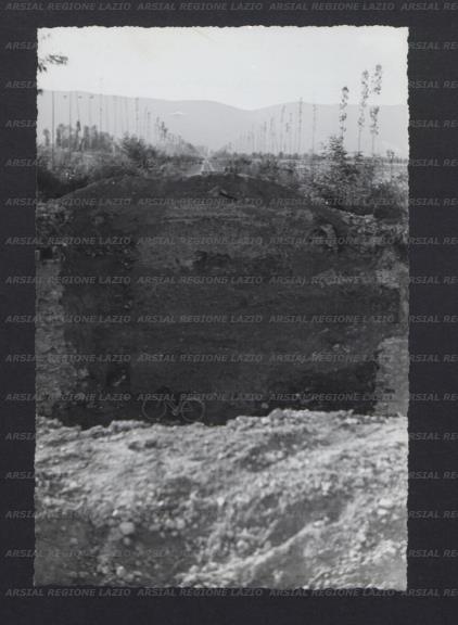 ARSIAL/ARS00173D0B.jpg