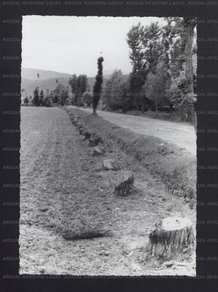 ARSIAL/ARS00173D33.jpg