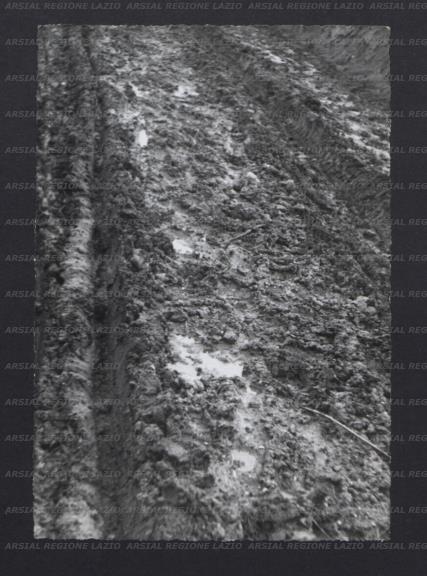 ARSIAL/ARS00173D35.jpg
