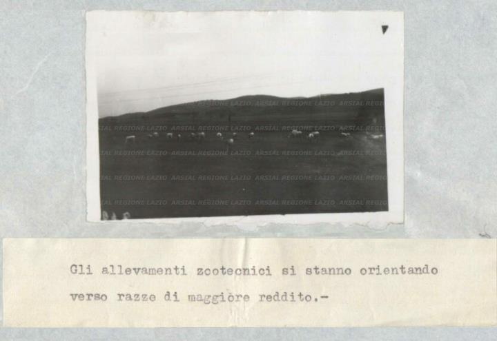 ARSIAL/ARS00173D36.jpg