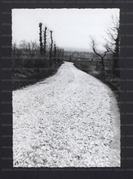 ARSIAL/ARS00173D39.jpg