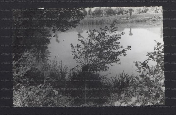 ARSIAL/ARS00173D7B.jpg