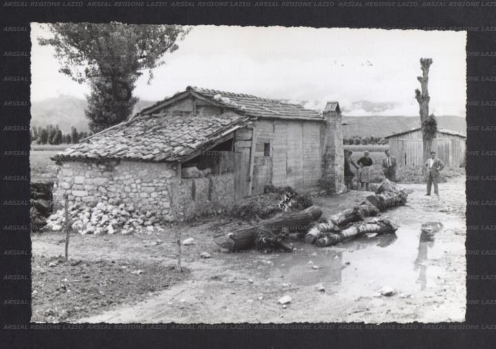 ARSIAL/ARS00173DF8.jpg
