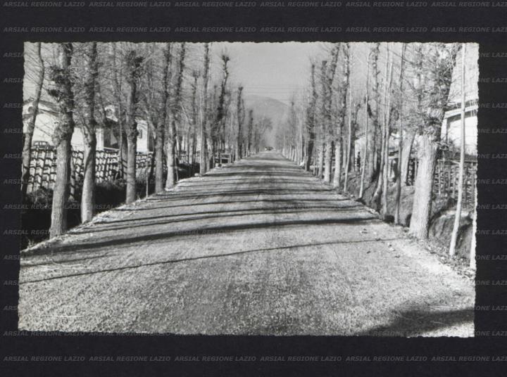 ARSIAL/ARS00173E0D.jpg