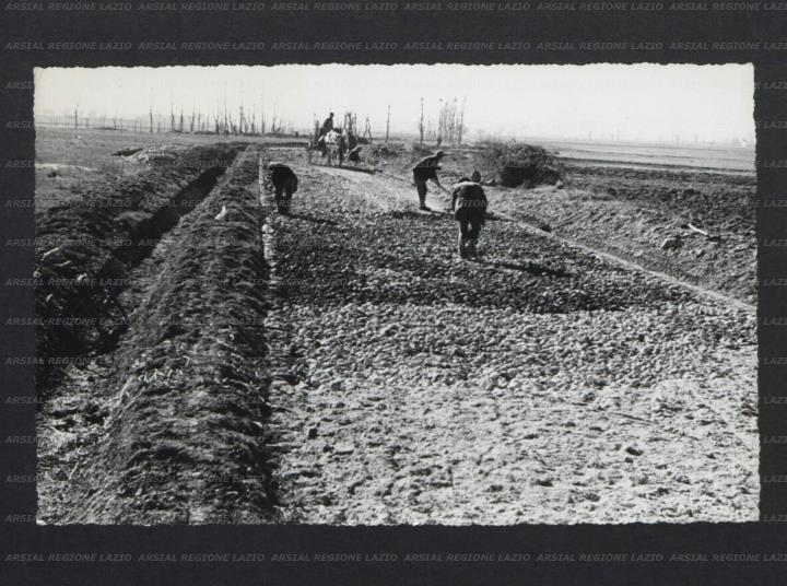 ARSIAL/ARS00173E0F.jpg