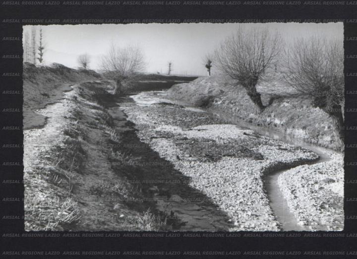 ARSIAL/ARS00173E17.jpg
