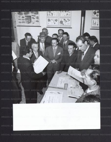 ARSIAL/ARS00173F82.jpg