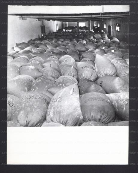 ARSIAL/ARS001740C6.jpg
