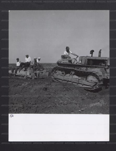 ARSIAL/ARS00174148.jpg