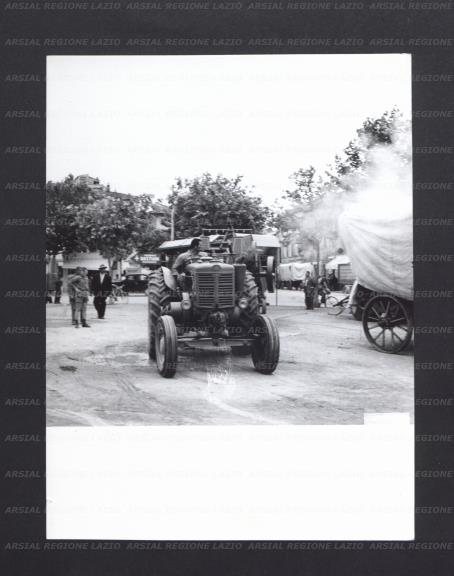 ARSIAL/ARS00174162.jpg