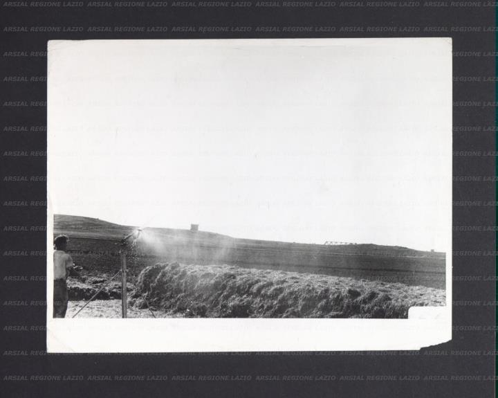 ARSIAL/ARS001741F5.jpg