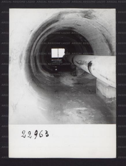 ARSIAL/ARS0017428E.jpg