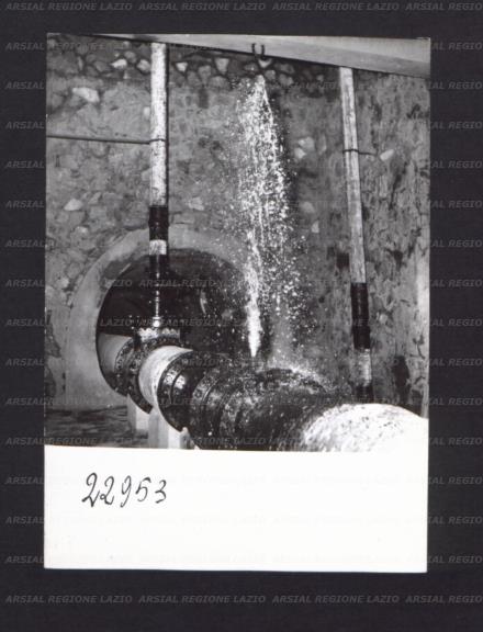 ARSIAL/ARS00174299.jpg