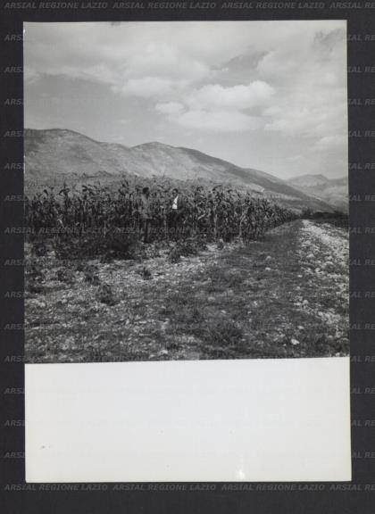 ARSIAL/ARS001742CE.jpg