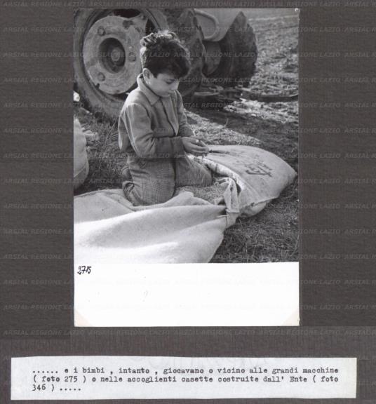ARSIAL/ARS00174305.jpg