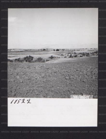 ARSIAL/ARS001743A7.jpg