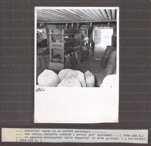 ARSIAL/ARS001743BC.jpg