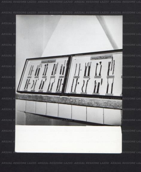 ARSIAL/ARS001743FD.jpg