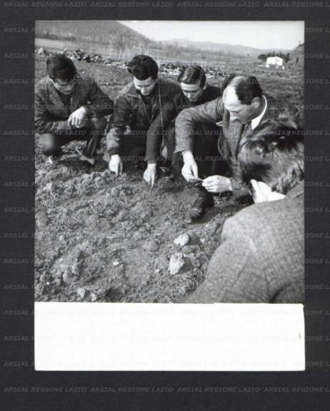 ARSIAL/ARS00174406.jpg