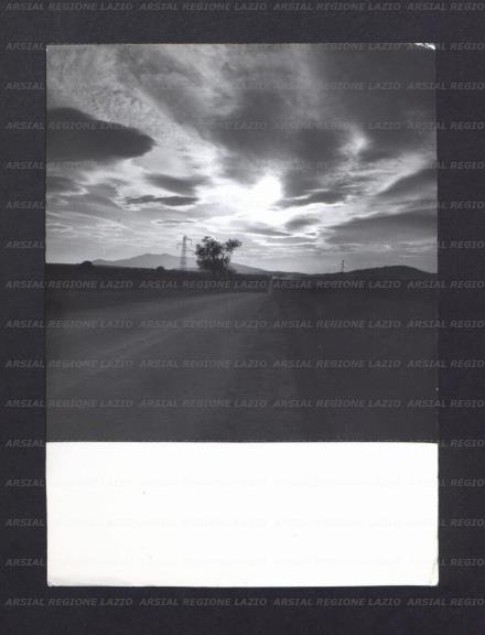 ARSIAL/ARS00174423.jpg