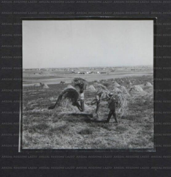 ARSIAL/ARS0017444C.jpg