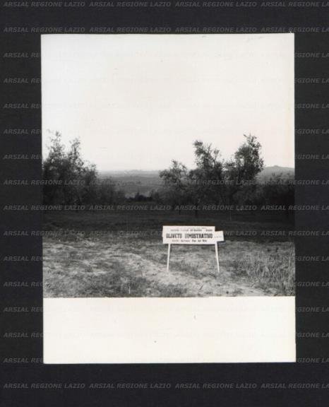 ARSIAL/ARS0017445E.jpg