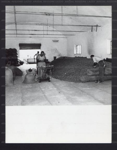 ARSIAL/ARS0017446A.jpg
