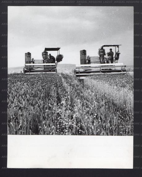 ARSIAL/ARS001744A0.jpg