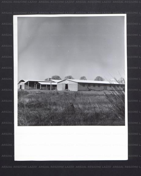 ARSIAL/ARS001744D4.jpg