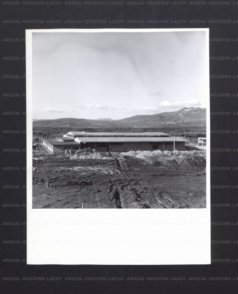 ARSIAL/ARS001744DB.jpg