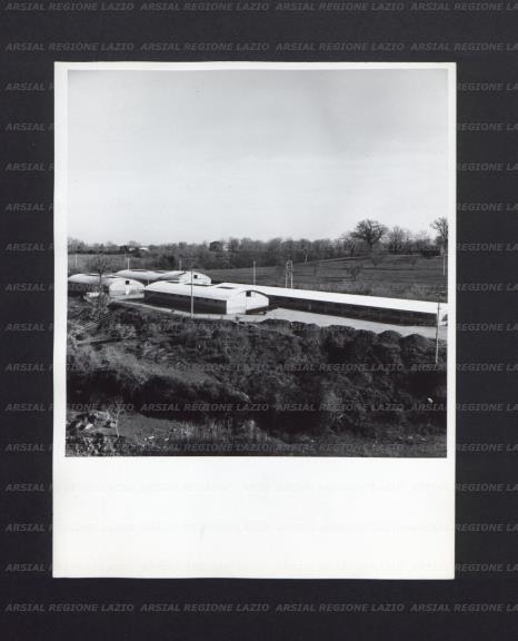 ARSIAL/ARS001744DC.jpg