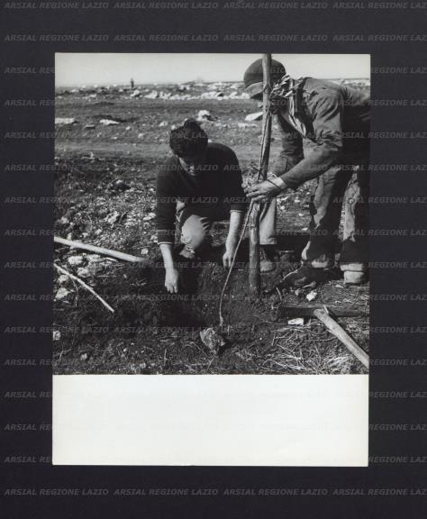 ARSIAL/ARS001744F3.jpg