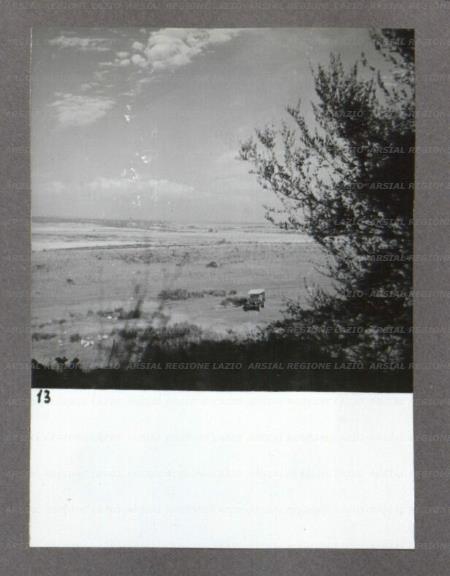 ARSIAL/ARS0017465E.jpg
