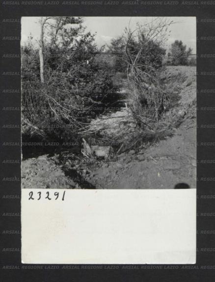 ARSIAL/ARS0017467B.jpg