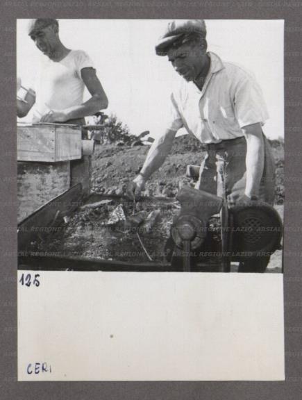 ARSIAL/ARS0017468B.jpg