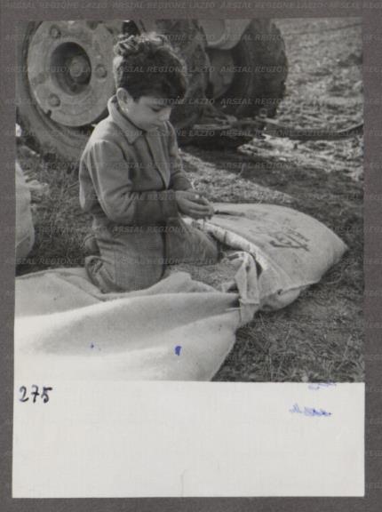 ARSIAL/ARS00174693.jpg