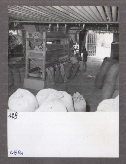 ARSIAL/ARS0017469E.jpg