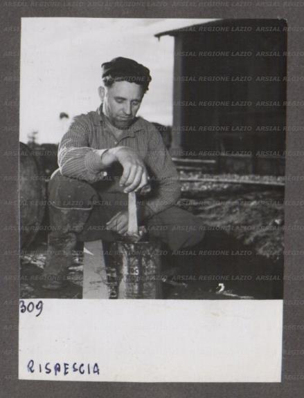 ARSIAL/ARS001746AA.jpg